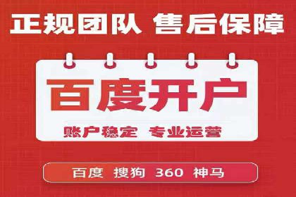 成功案例：SEM竞价托管的策略与效果